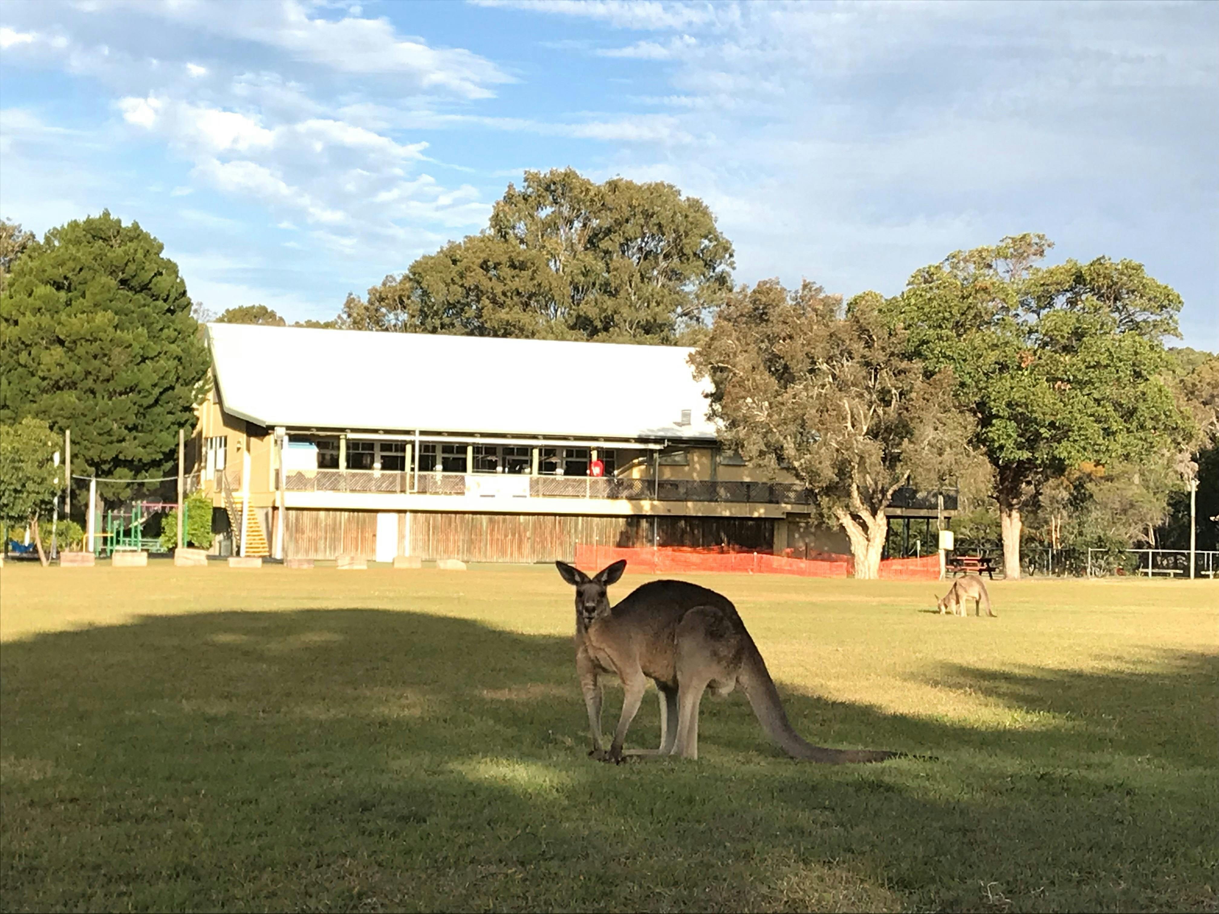 Amity Point Community Club