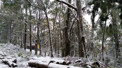 Making Tracks to work