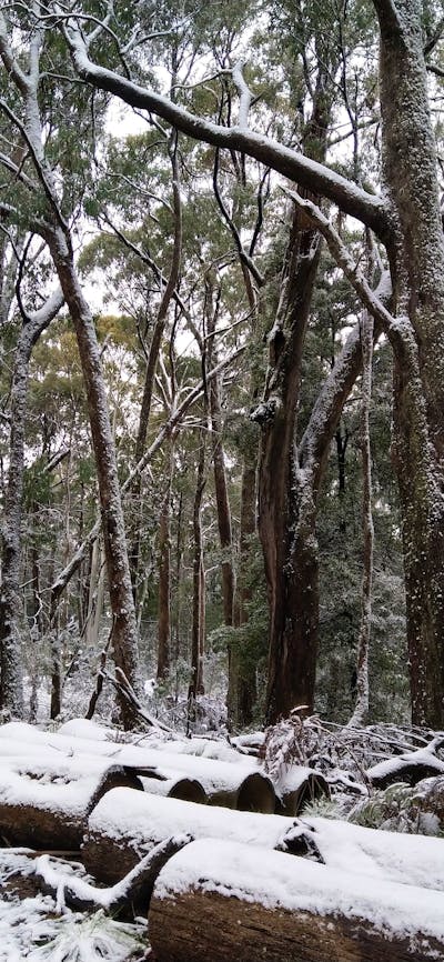 Making Tracks to work