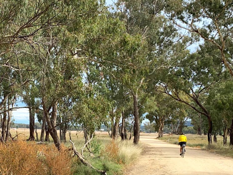 Riding the Central West Cycle Trail