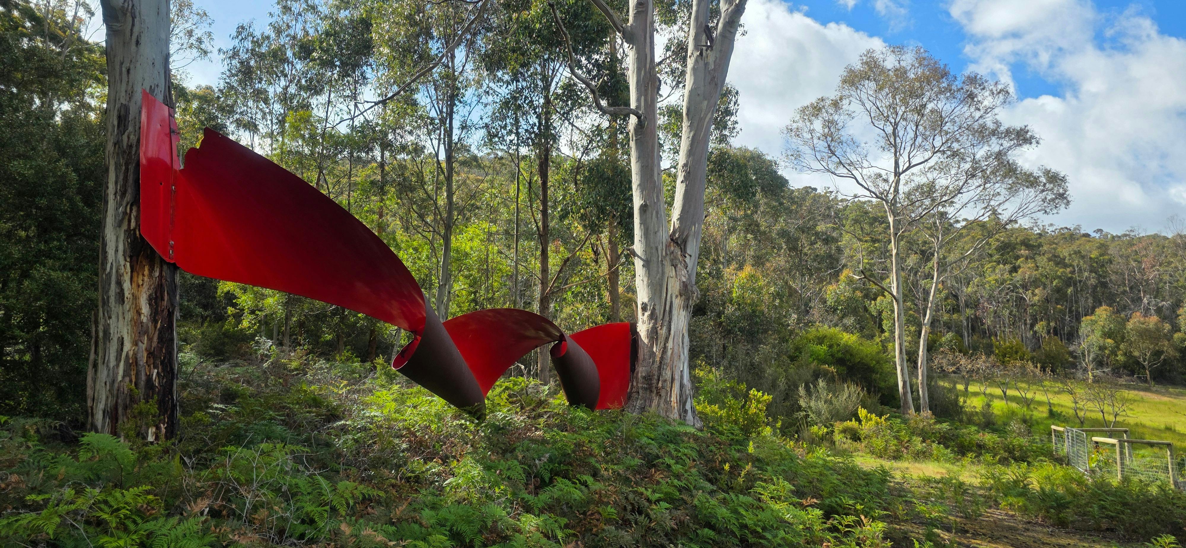 12m long painted red  steel ribbon installation between two trees in bushland