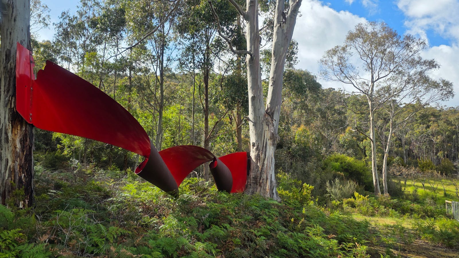 Tom's Red Ribbon Sculpture - by Daren Lindsell