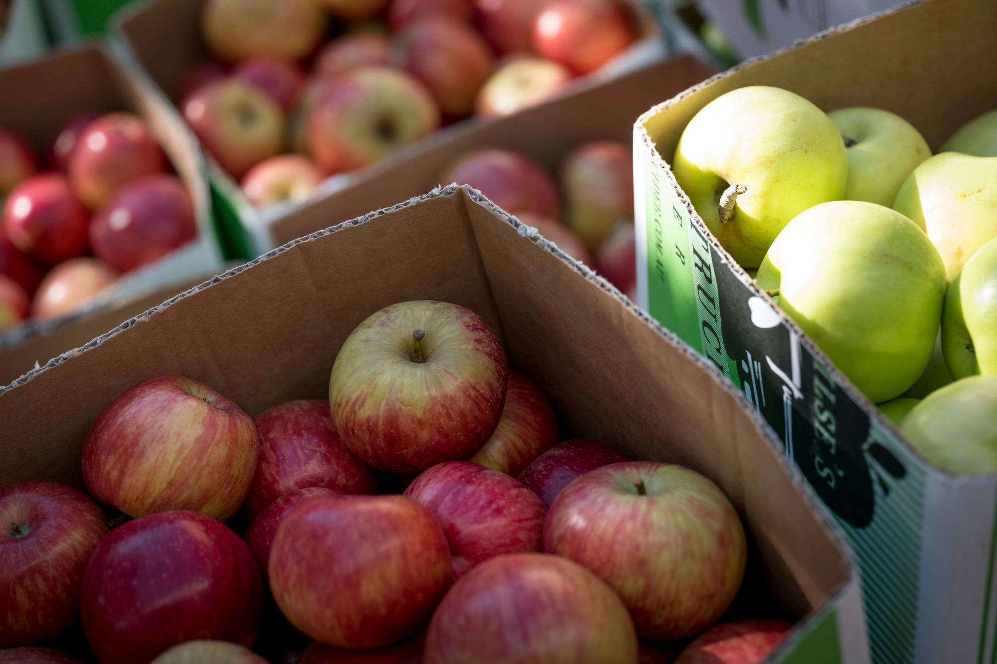 Slow Food Earth Markets Maitland