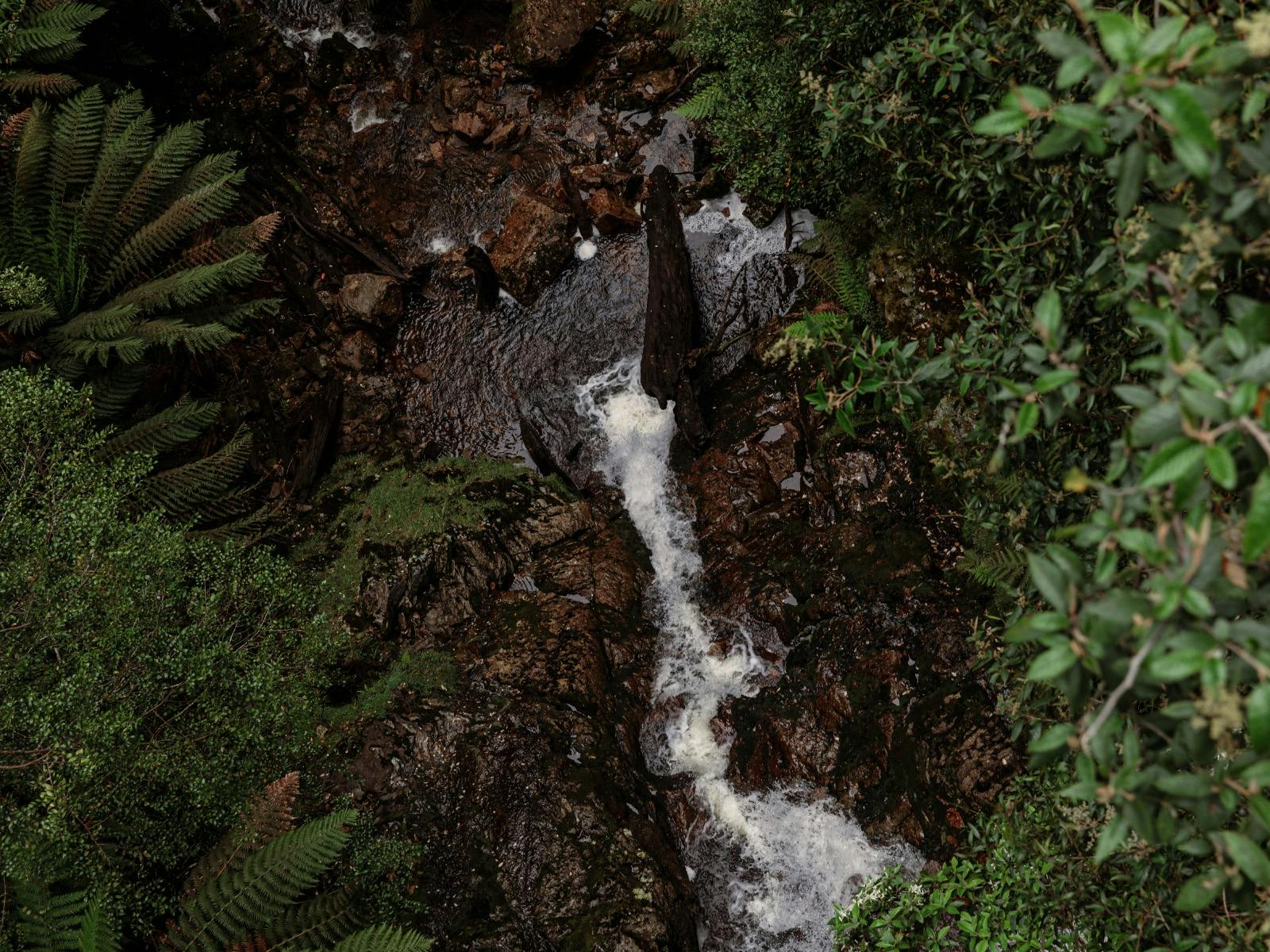 Rosebery, Tasmania