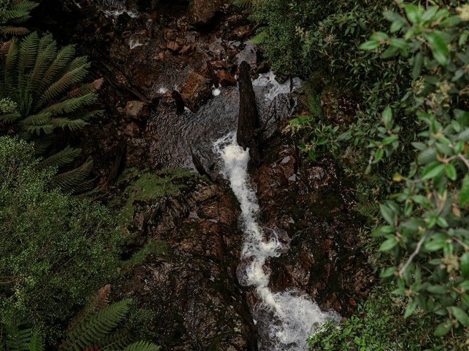 Rosebery, Tasmania photo
