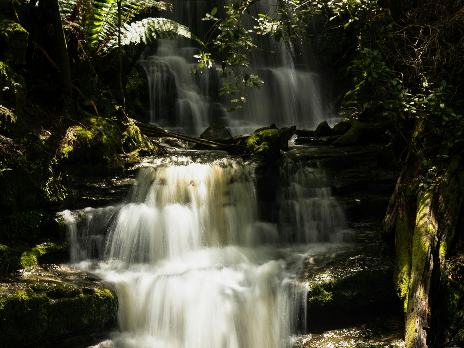 Rushing Myrtle Gully Falls in green wilderness setting at foothills of Mt. Wellington, Hobart.