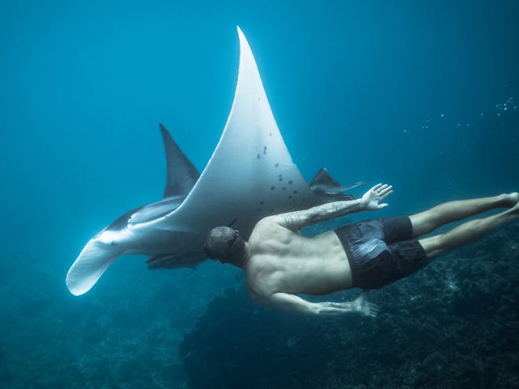 Freediver with a manta ray