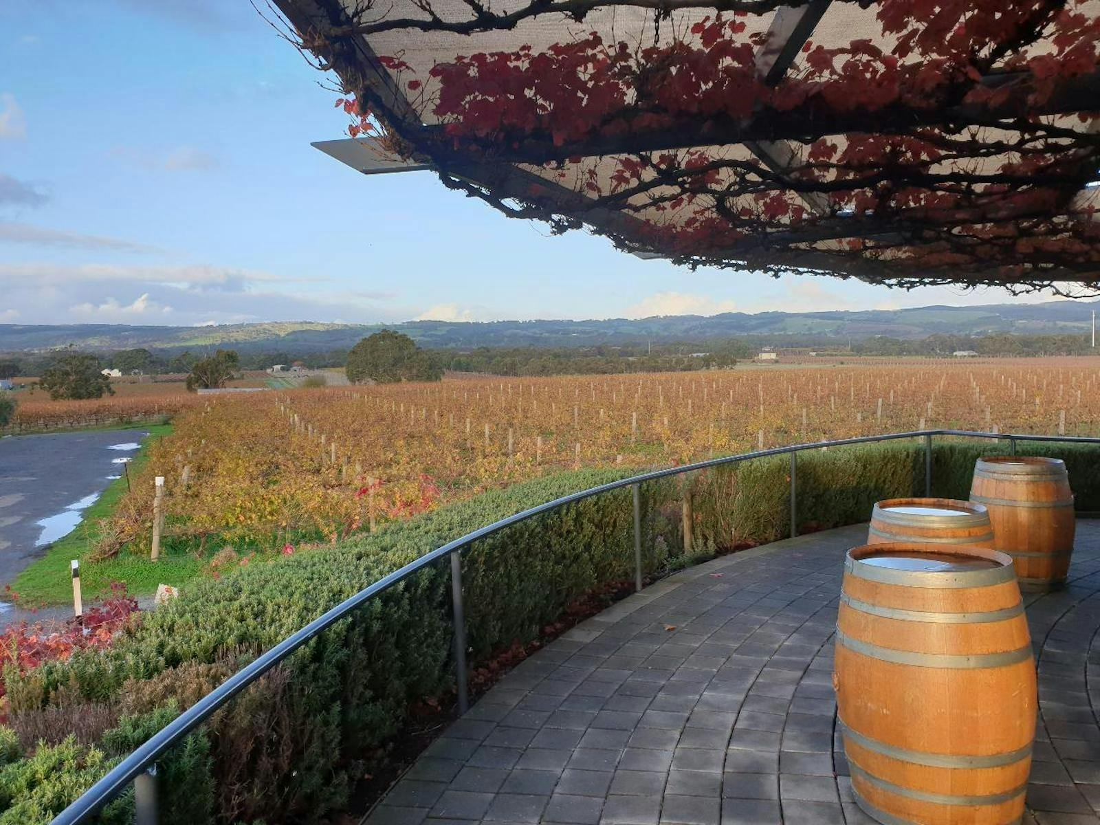 winery