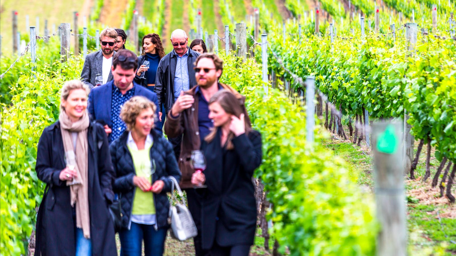 Drink Tasmania Full Day Wine Tour