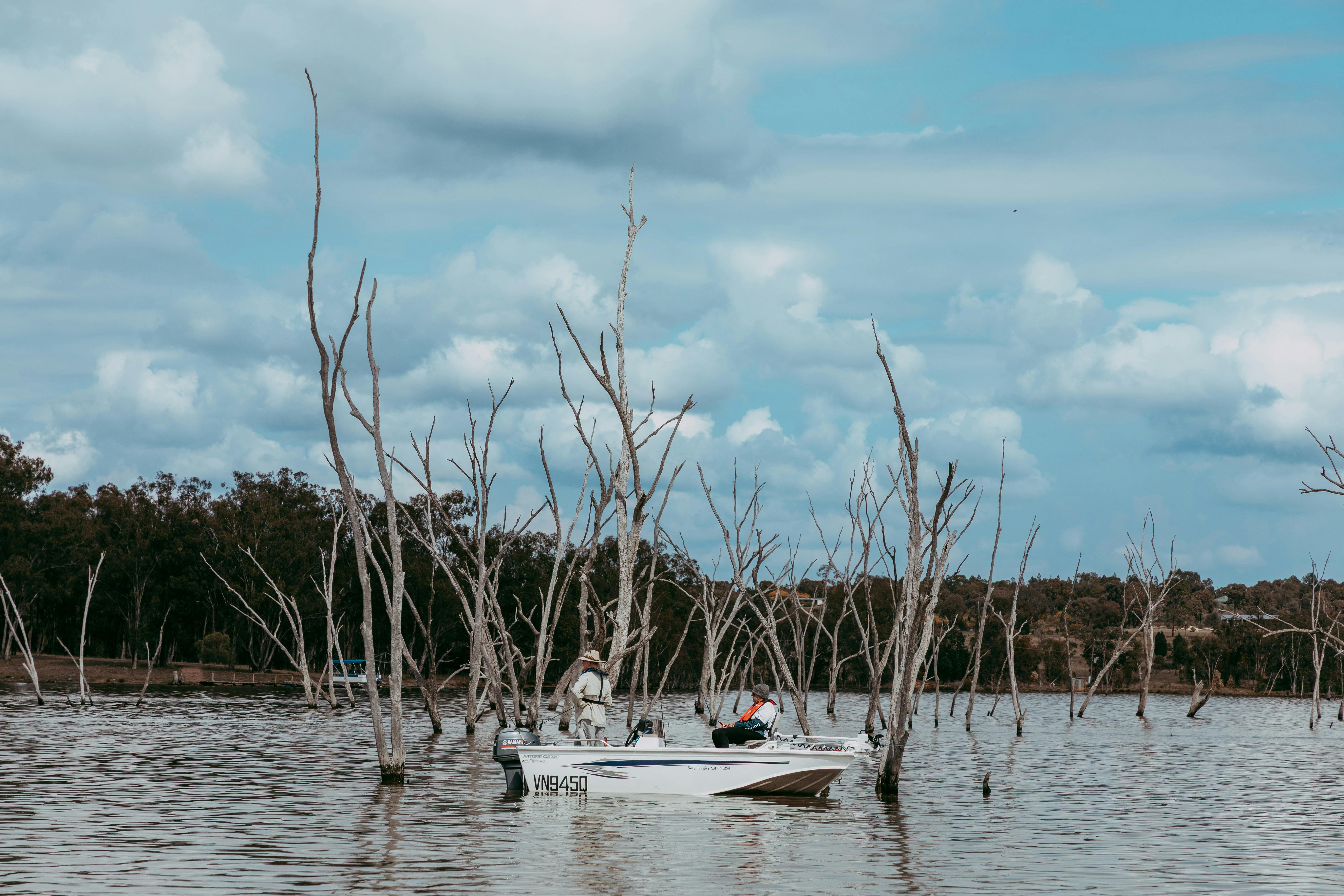 Tree Structures on Coolmunda Dam make for a great day of fishing!