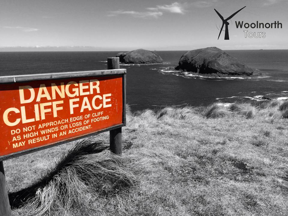 Woolnorth Tours photo