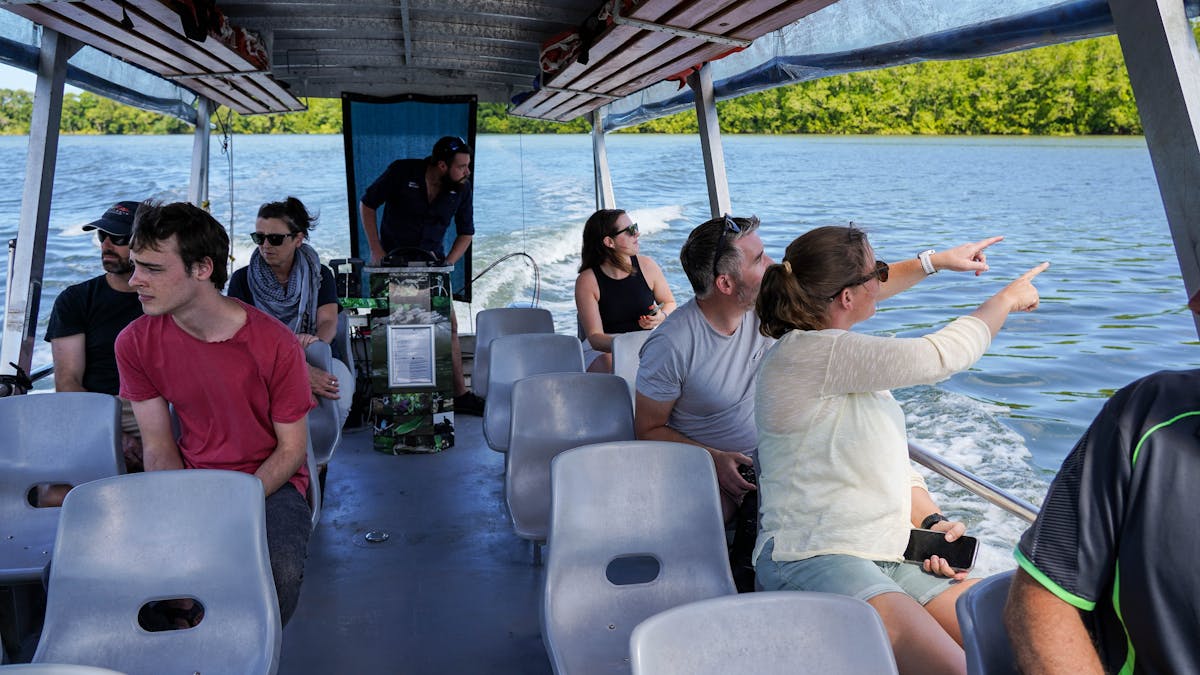 Tour guests pointing a wildlife on Daintree River Cruise with Daintree Discovery Tours