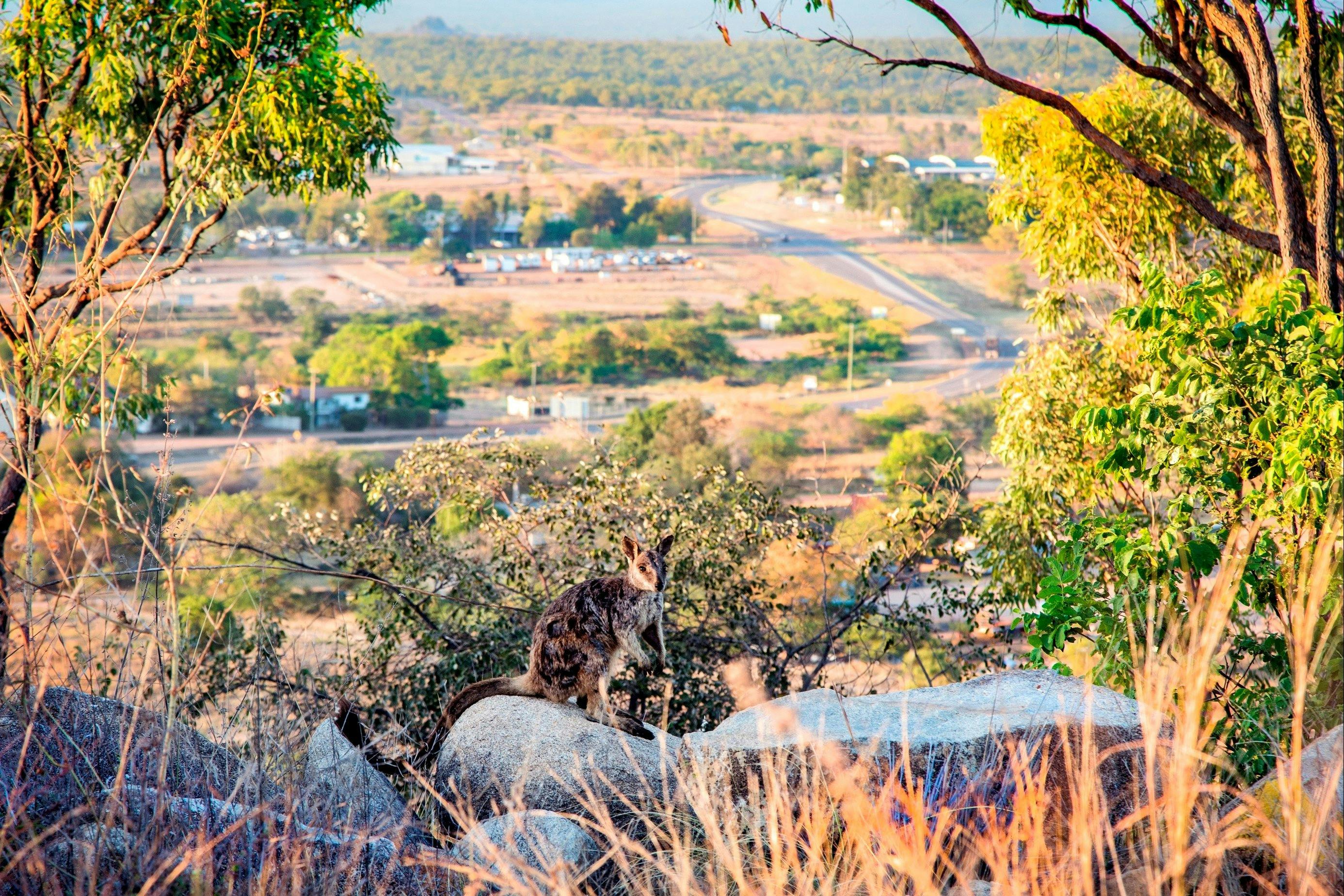 Charters Towers - BIG4 Aussie Outback Oasis Holiday Park