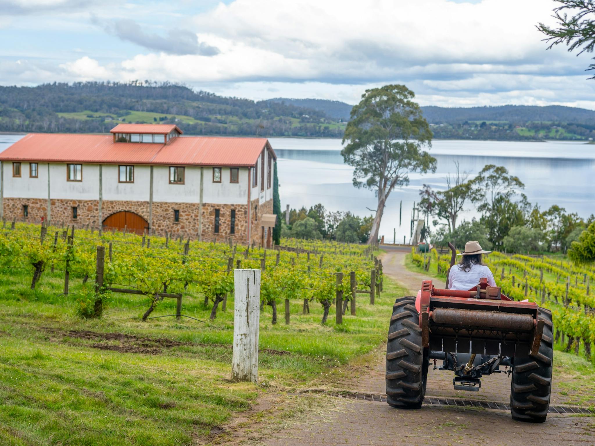 tractor driver