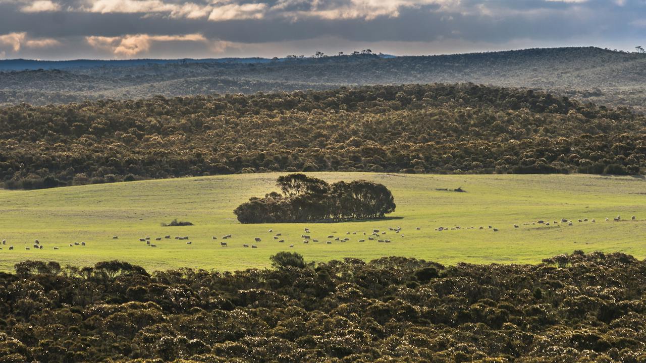 View from Hermans Hill