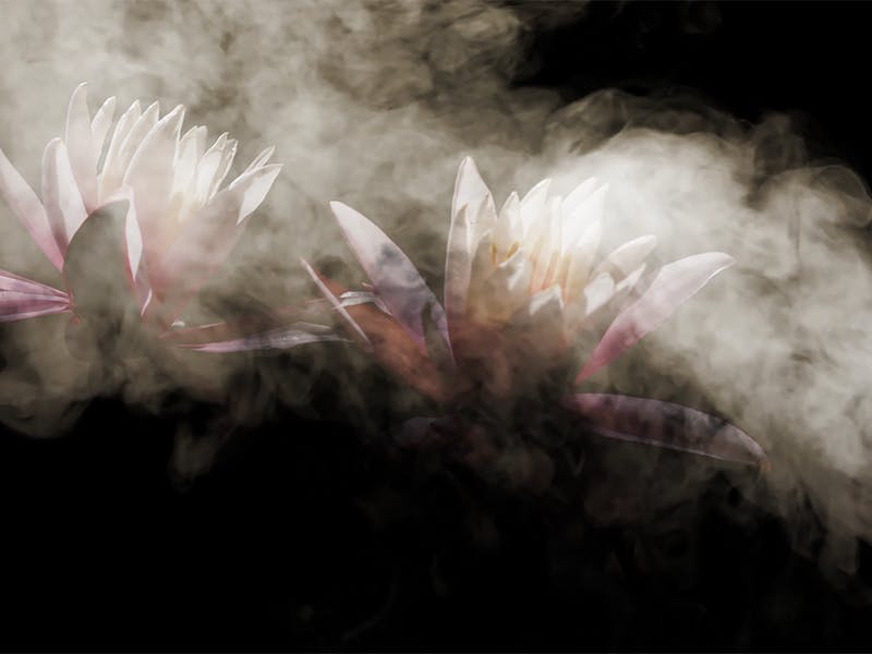 John South, Skyworld 2018, video installation