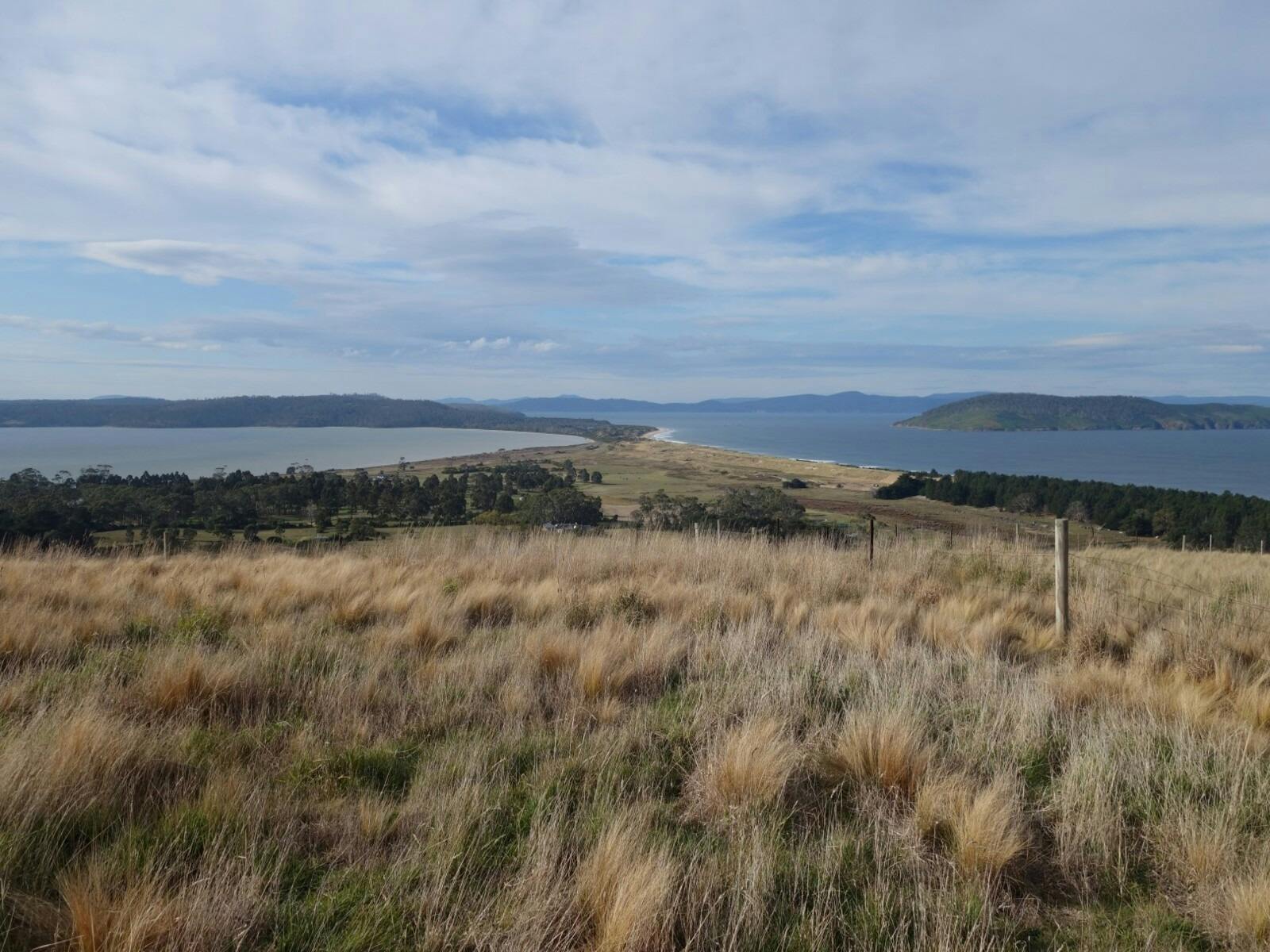 Potters Hill Walking Track 2