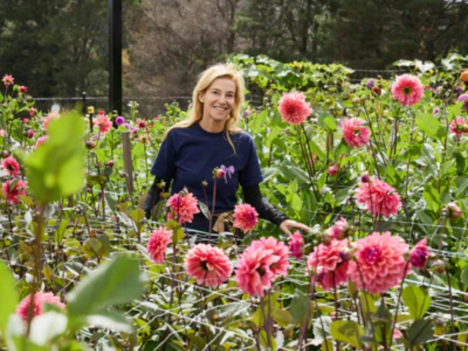 Oxley Hill Farm Flowers 3