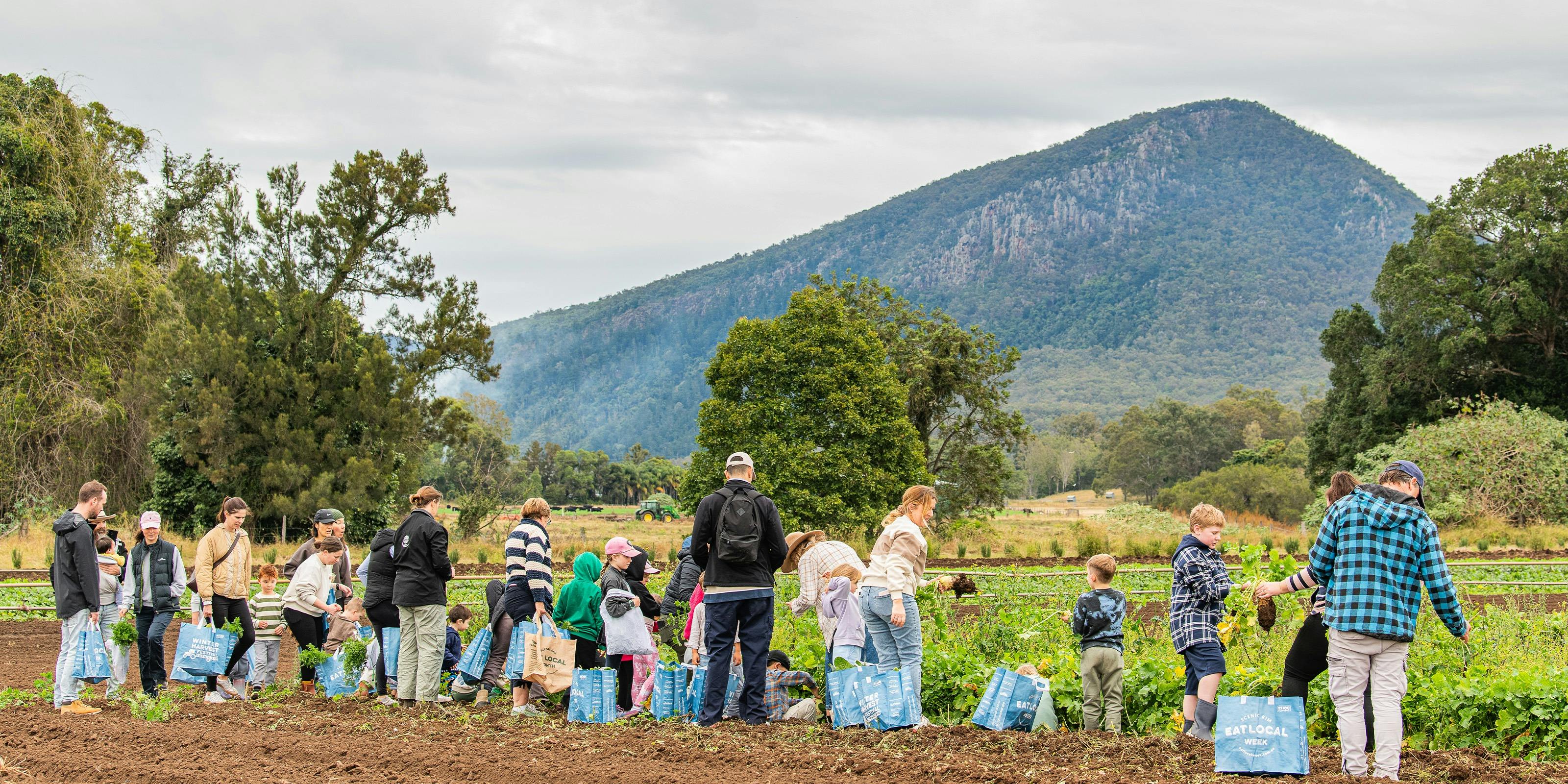 Veggie Picking with the Farmer