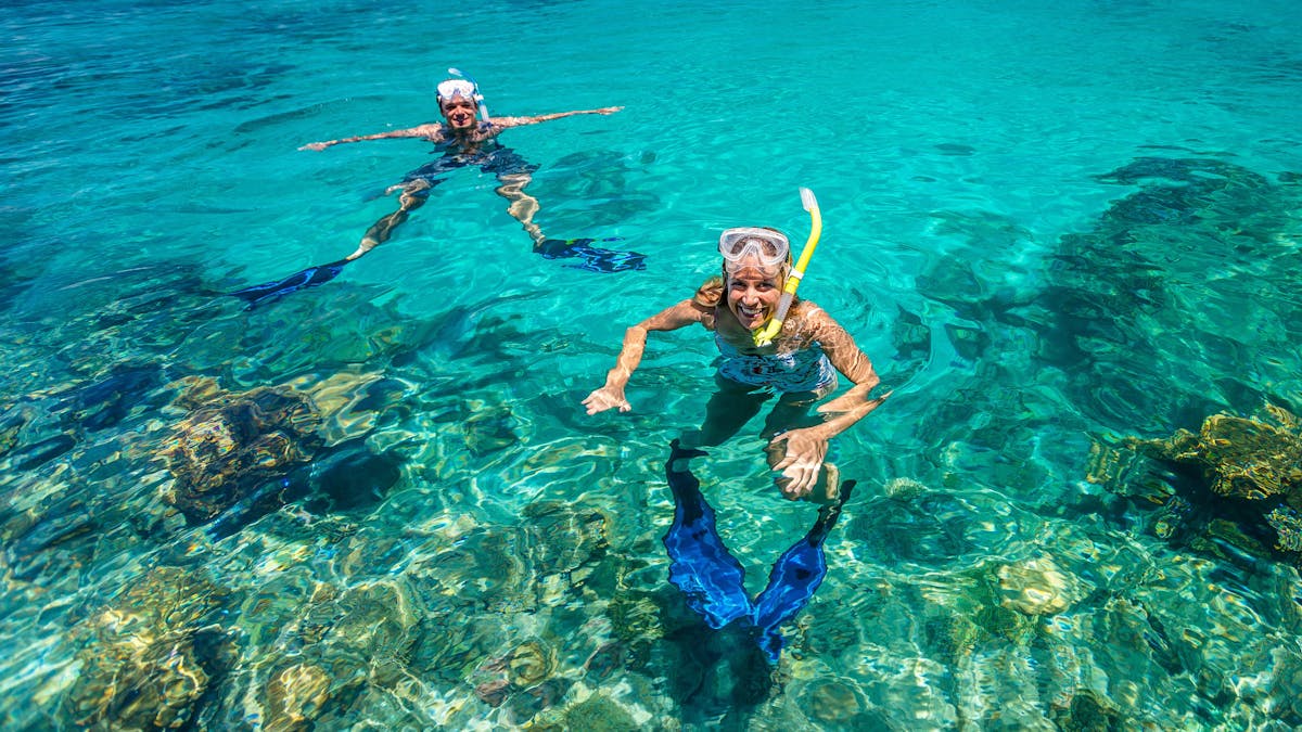 Snorkellers great barrier reef