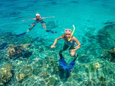 Snorkellers great barrier reef
