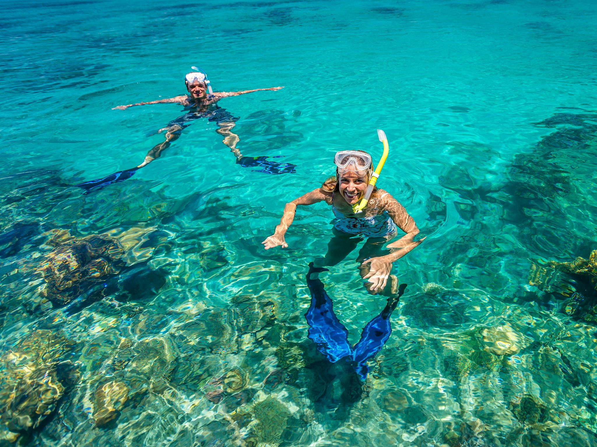 Snorkellers great barrier reef Snorkellers great barrier reef