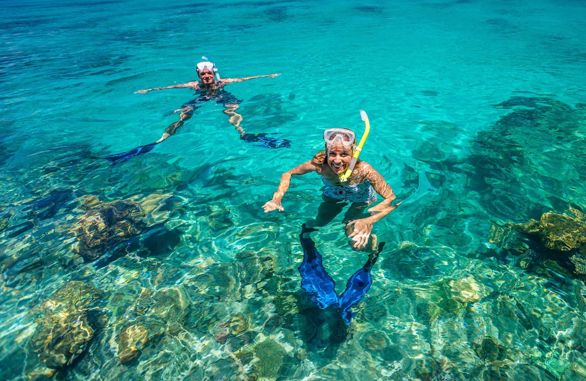 Snorkellers great barrier reef