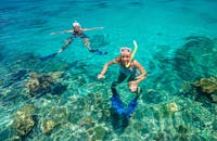 Snorkellers great barrier reef