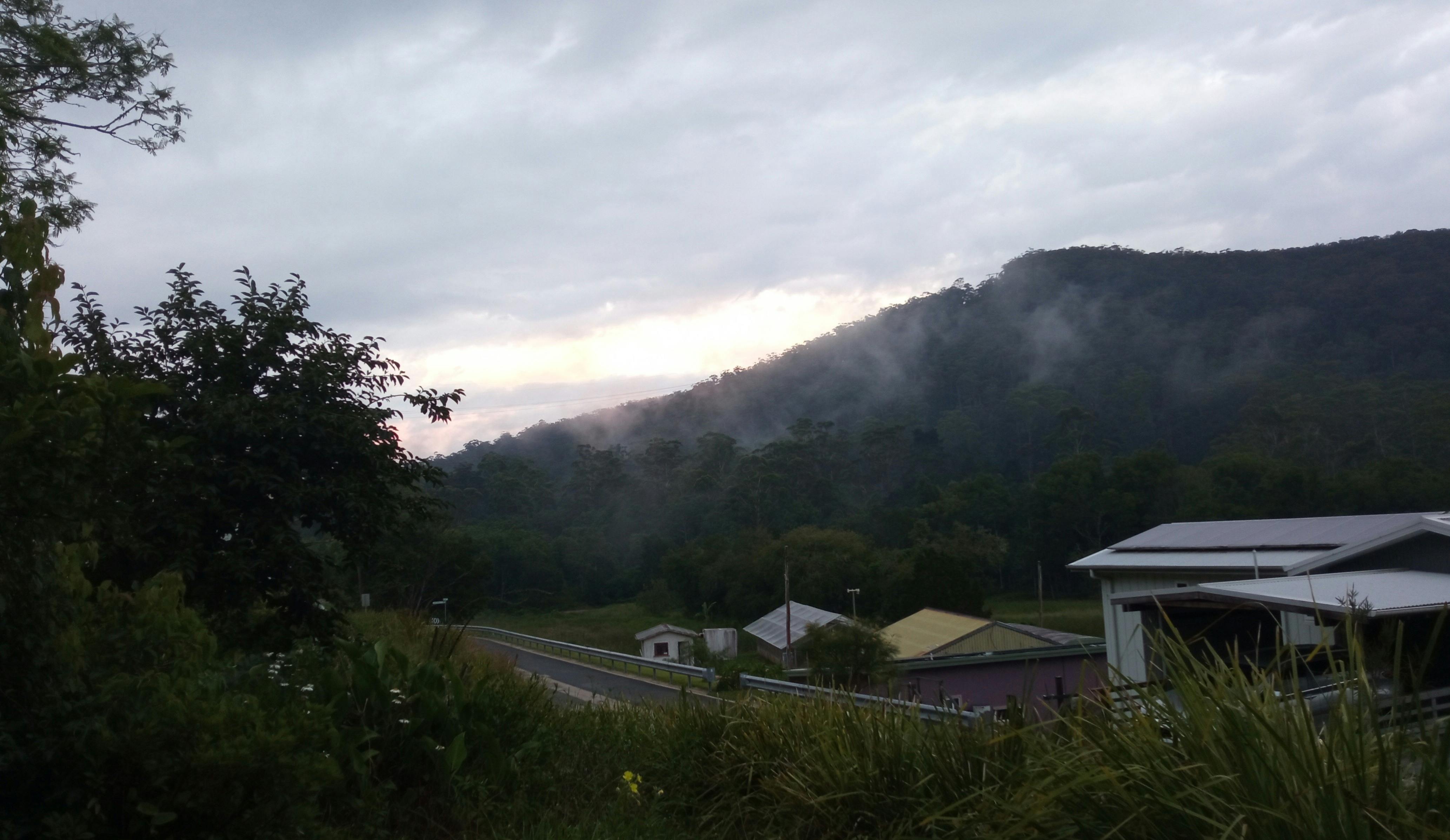 Wooded hillside with wisps of cloud and last sun in the sky