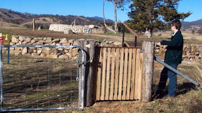 Woman standing at wooden gate looking to background with raised ground and rock walls
