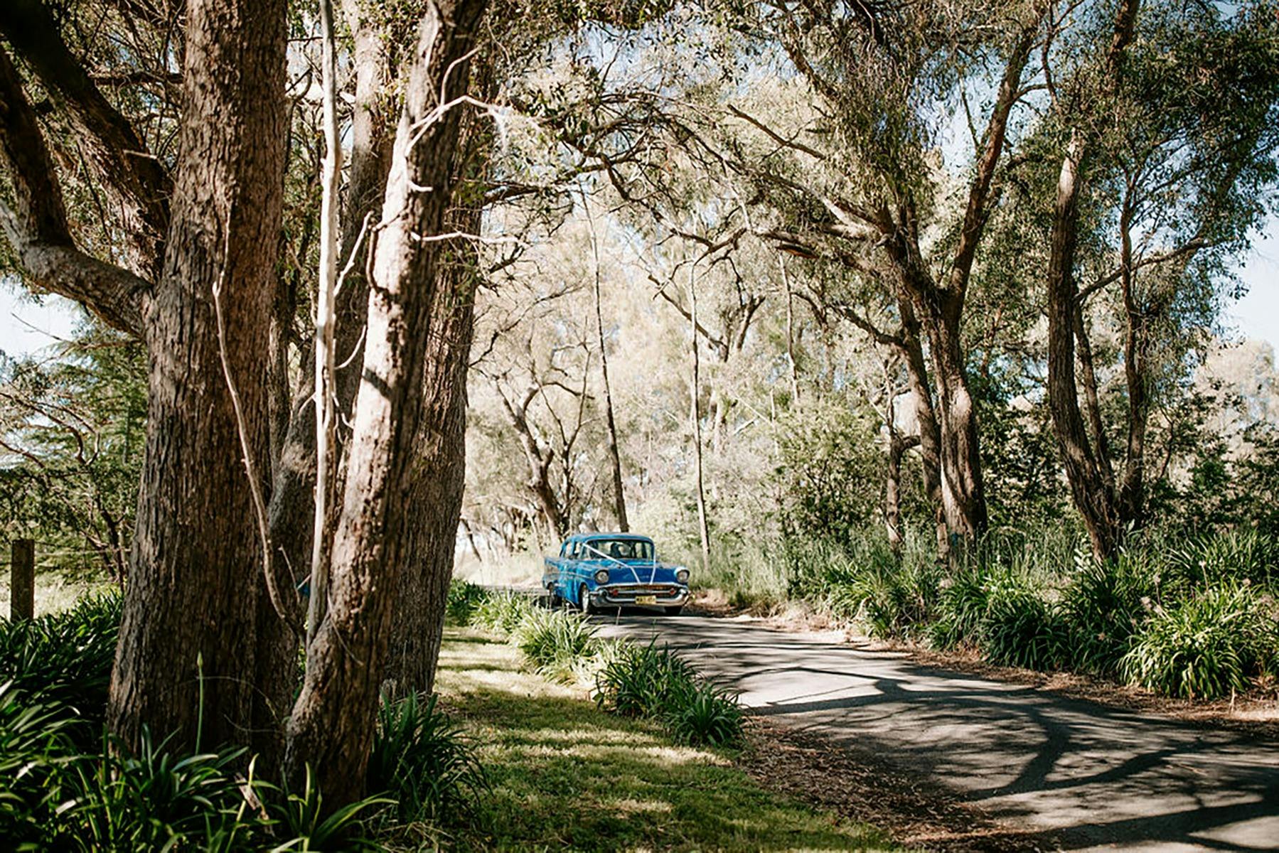 The entrance lane to Mejuluelda. Lined beautifully with gumtrees