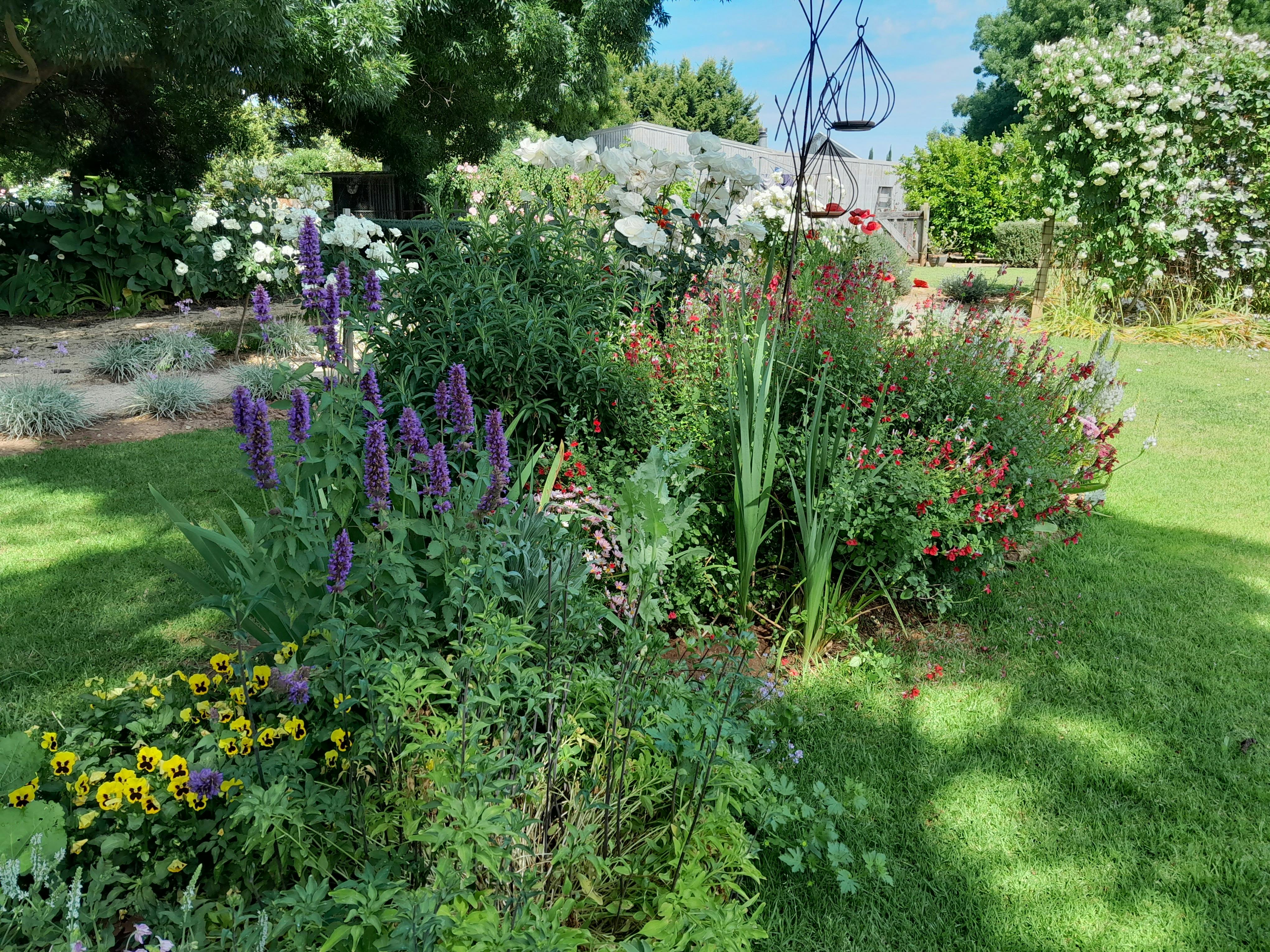 Open Gardens Victoria - Llangrigg Park, colour garden bed