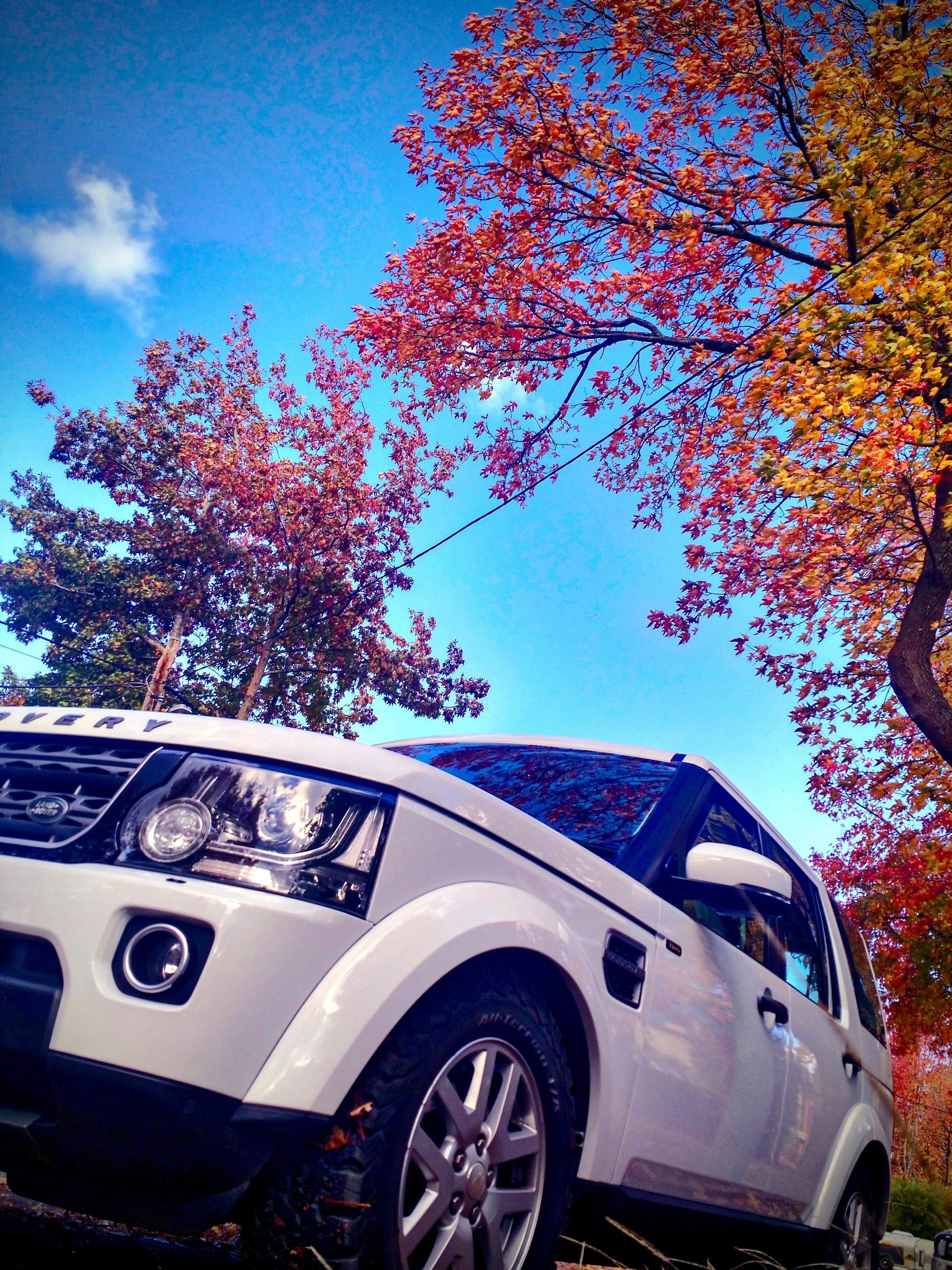 White 4WD Land Rover Discovery