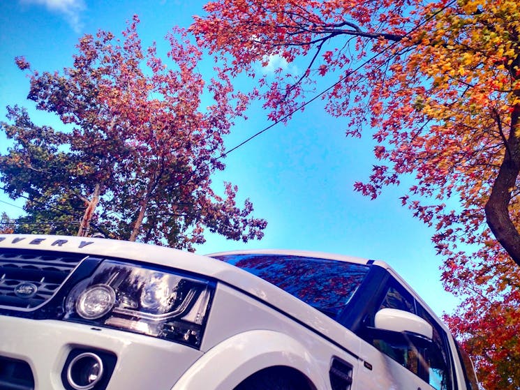White Land Rover Discovery in the Blue Mountains