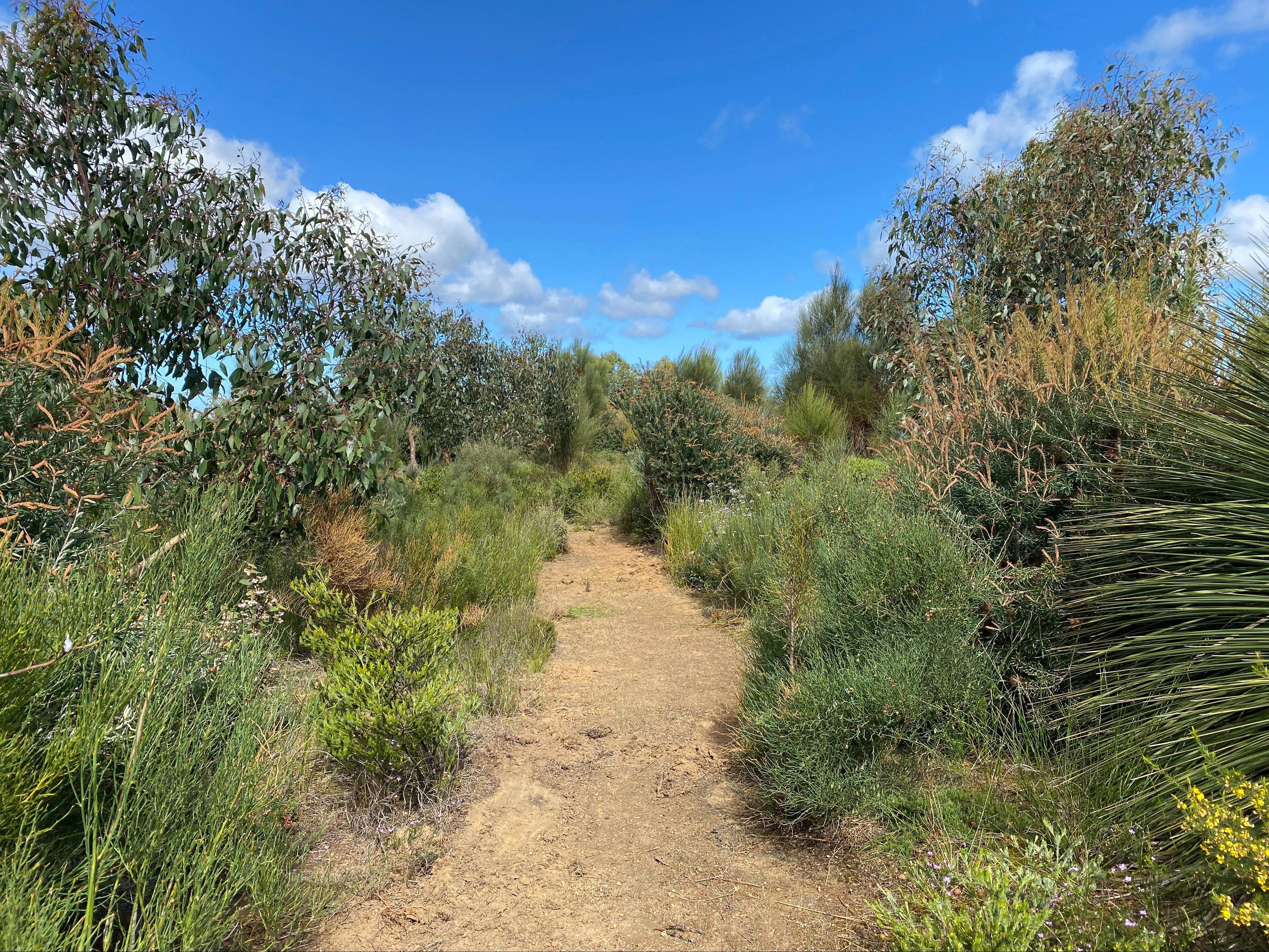 Walking Trail