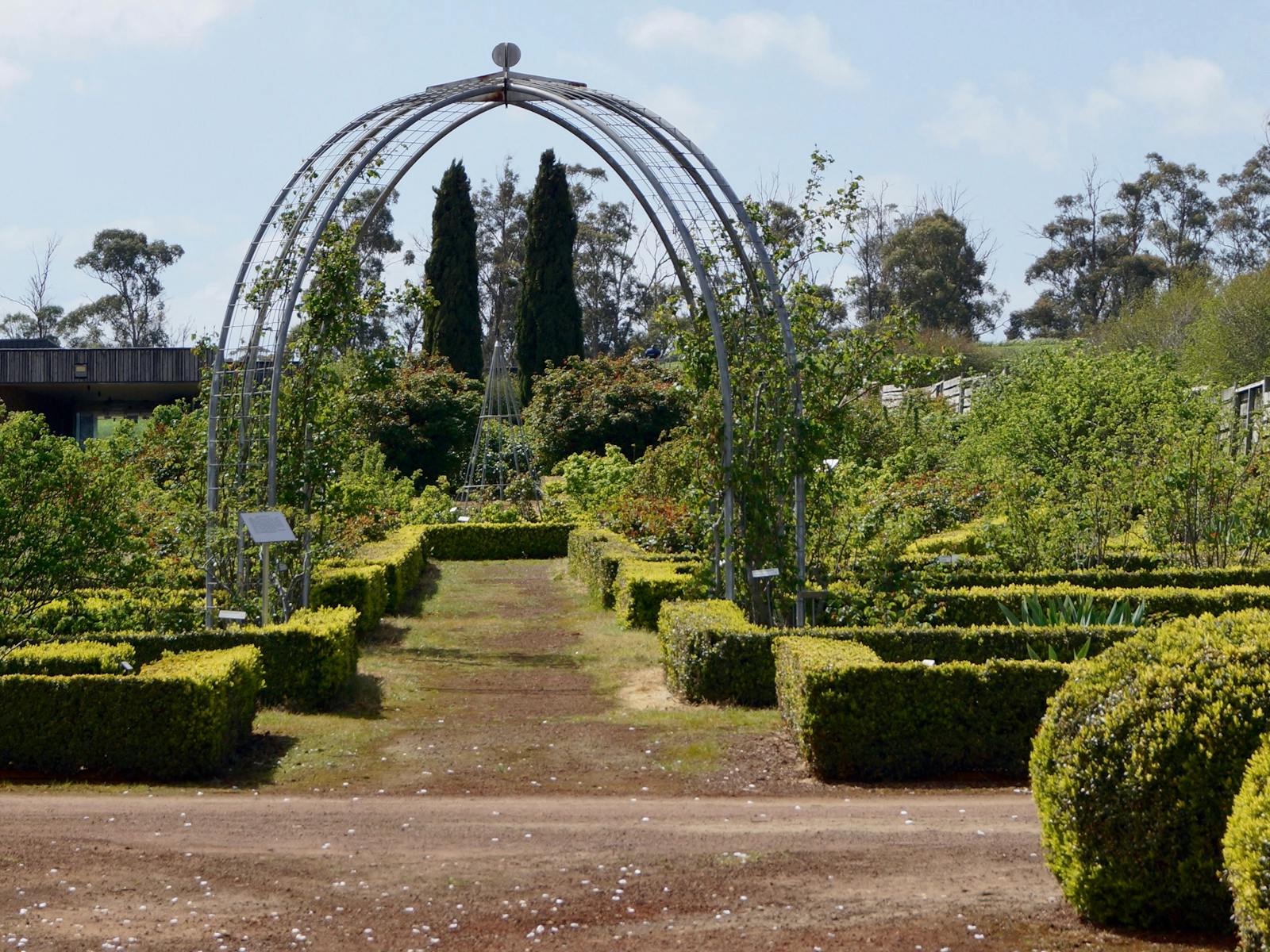 Walkway through rose garden