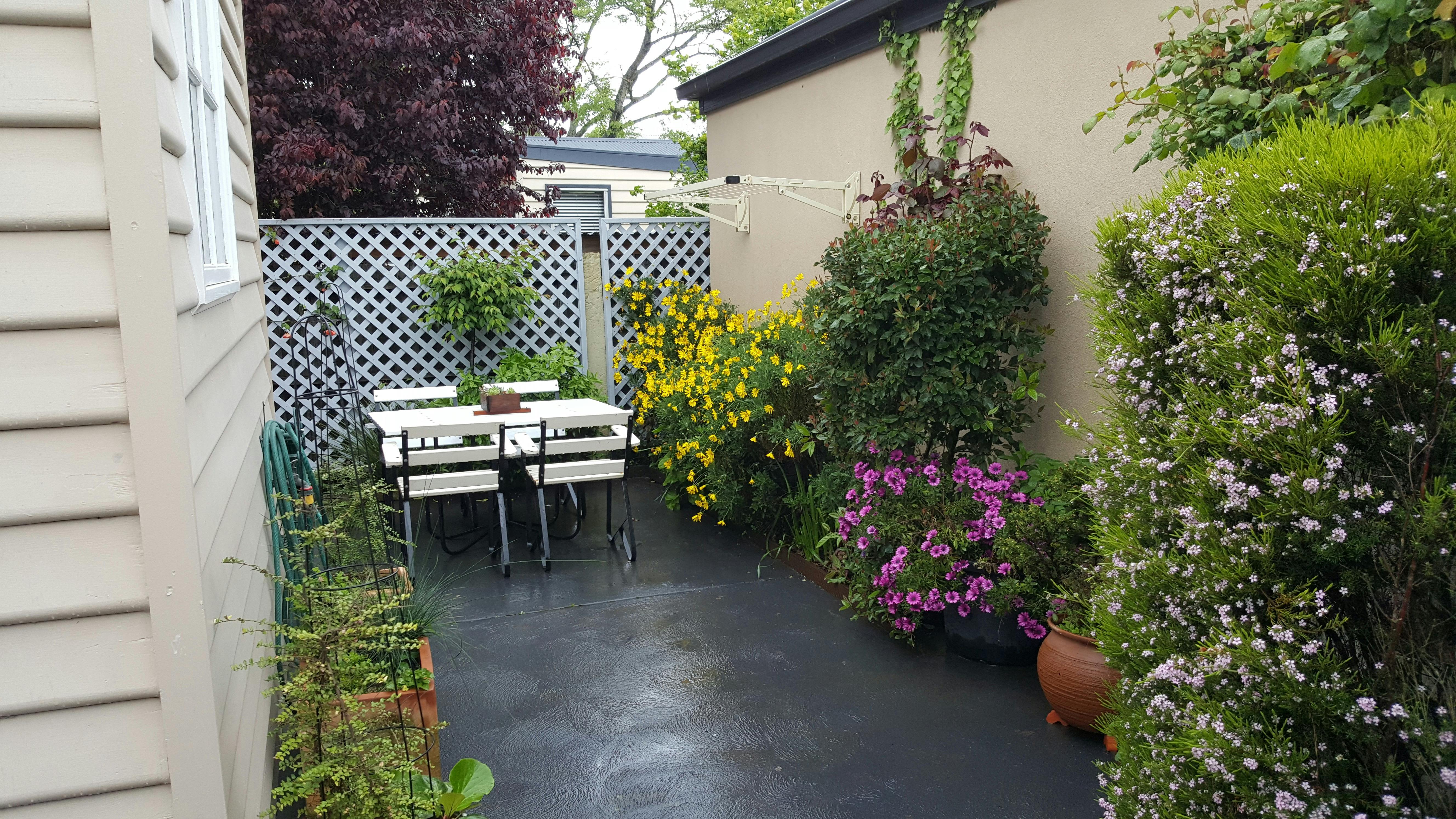 Private outdoor dining /courtyard. Enjoy the delightful flowering garden surroundings