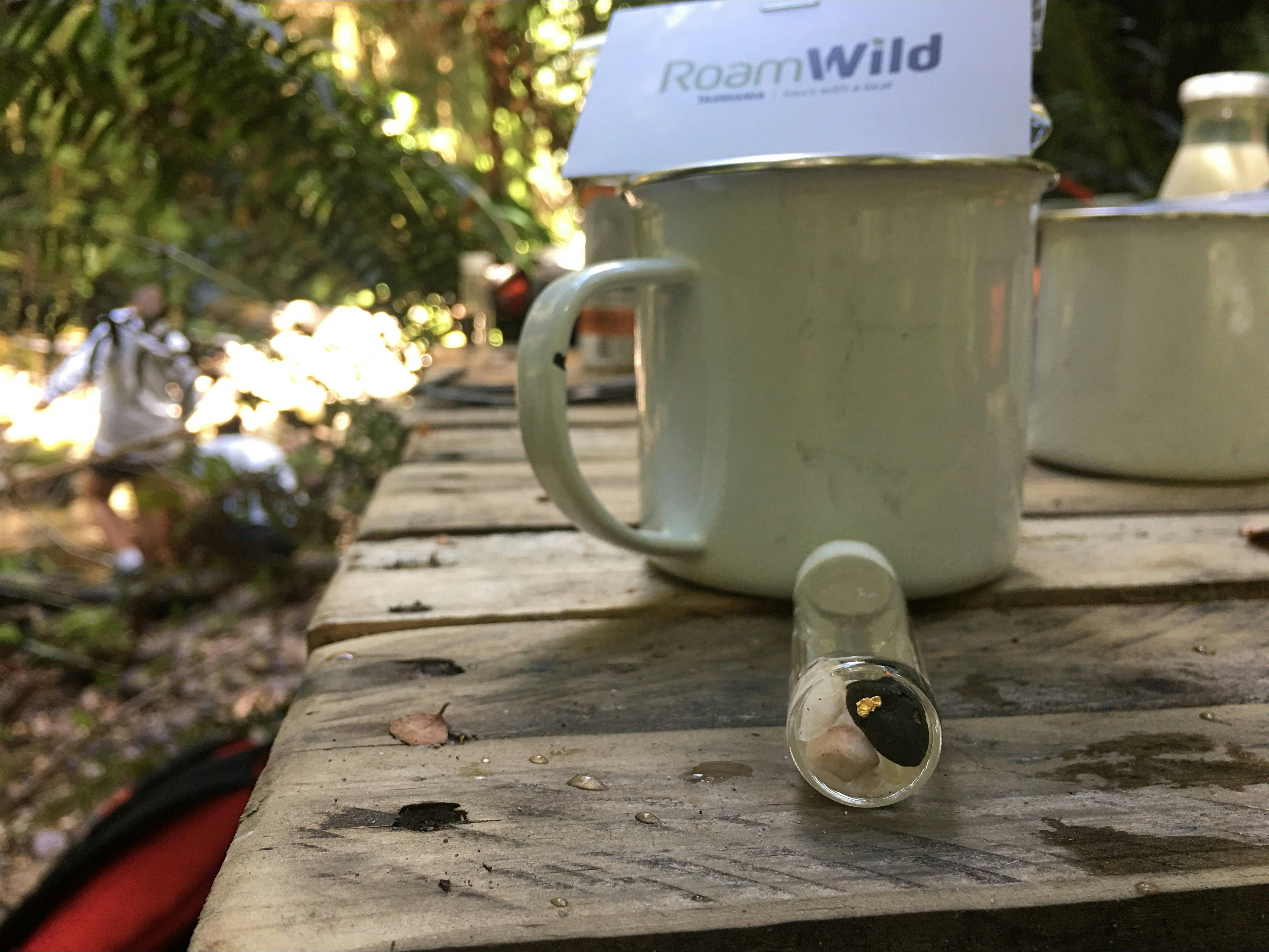 RoamWild Tasmania