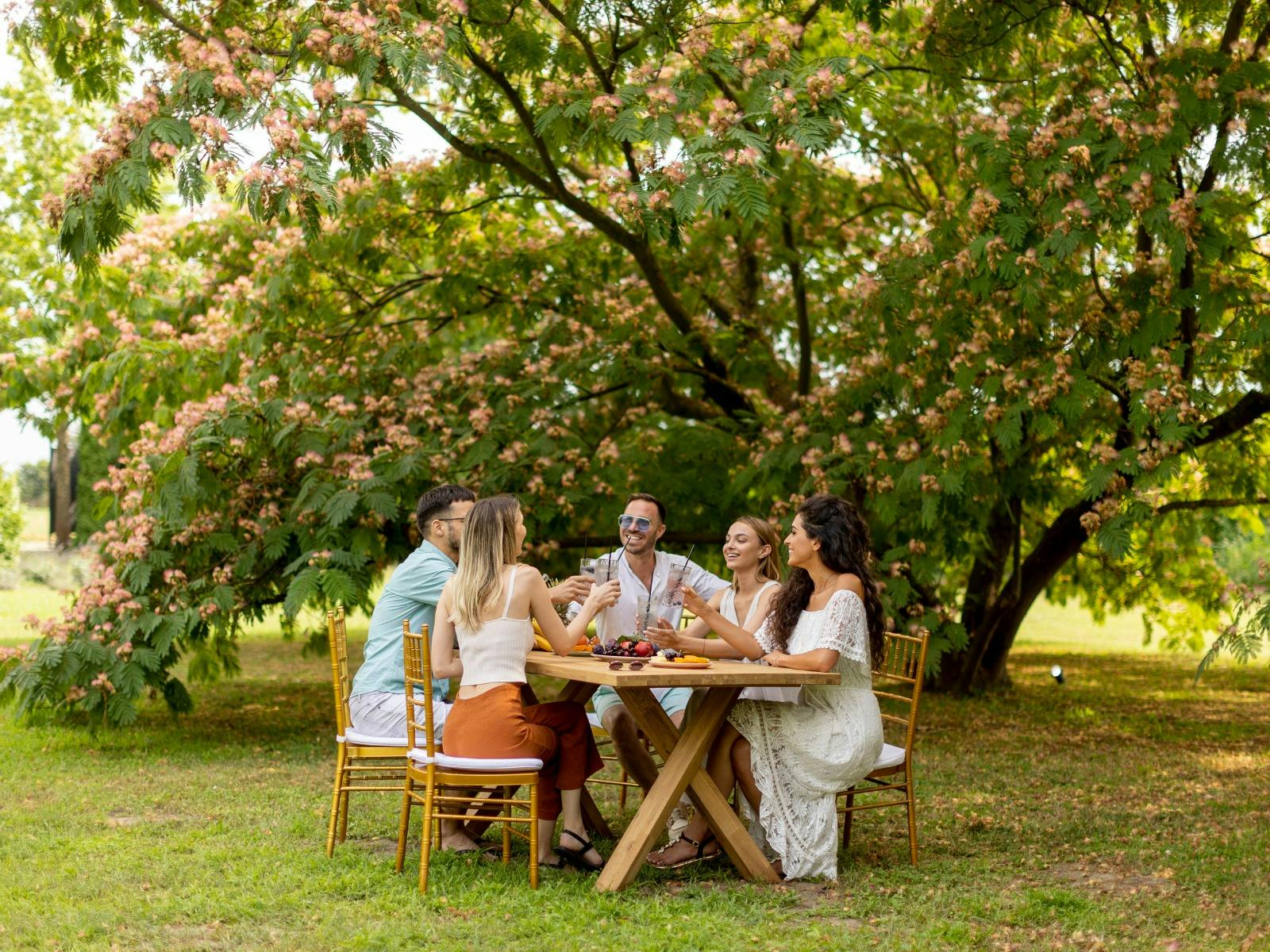 Picnic with group of people