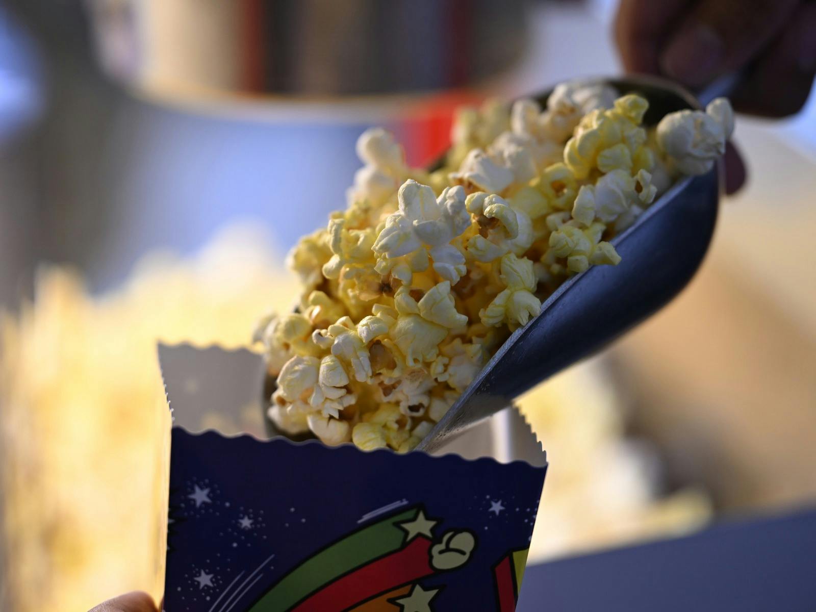 Elsie's Film House | Pop-Up Cinema Screenings