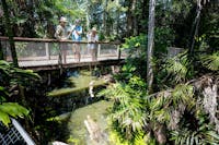 Man pole feeding a saltwater crocodile on a bridge, crocodile opening its mouth in the water