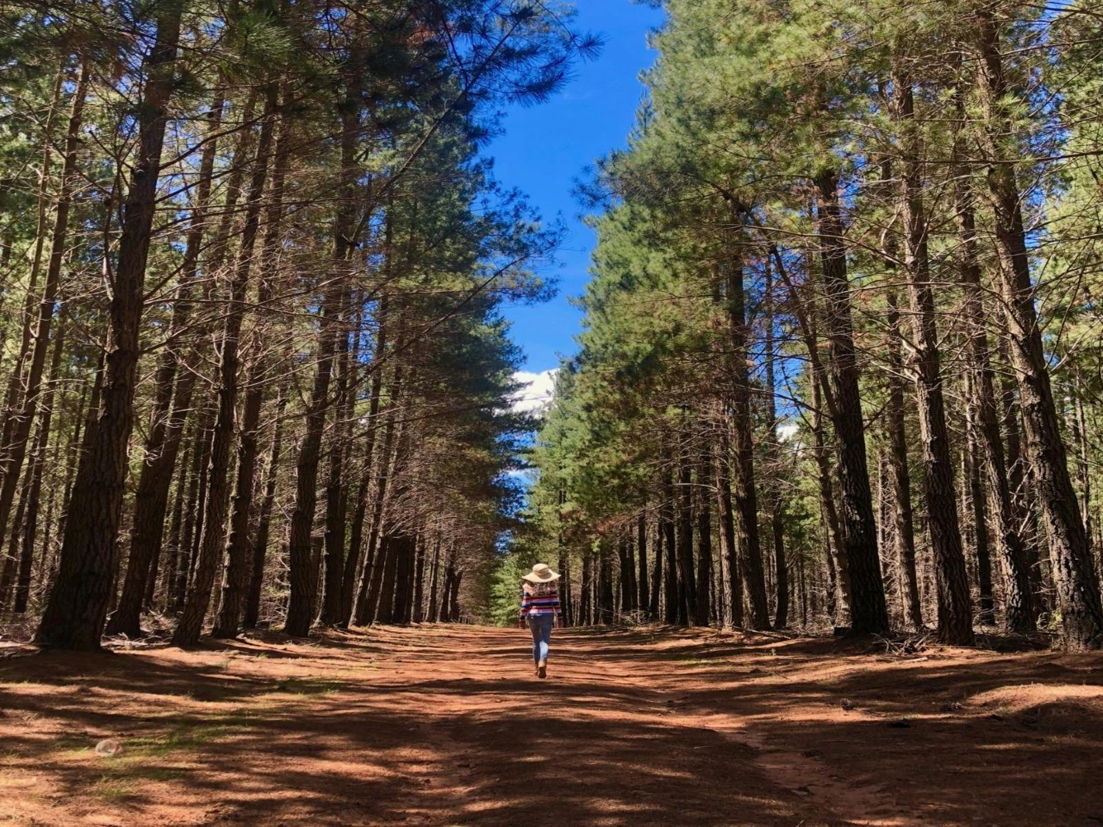 Sunny Corner Recreation Reserve NSW Holidays & Things to Do, Attractions and Events