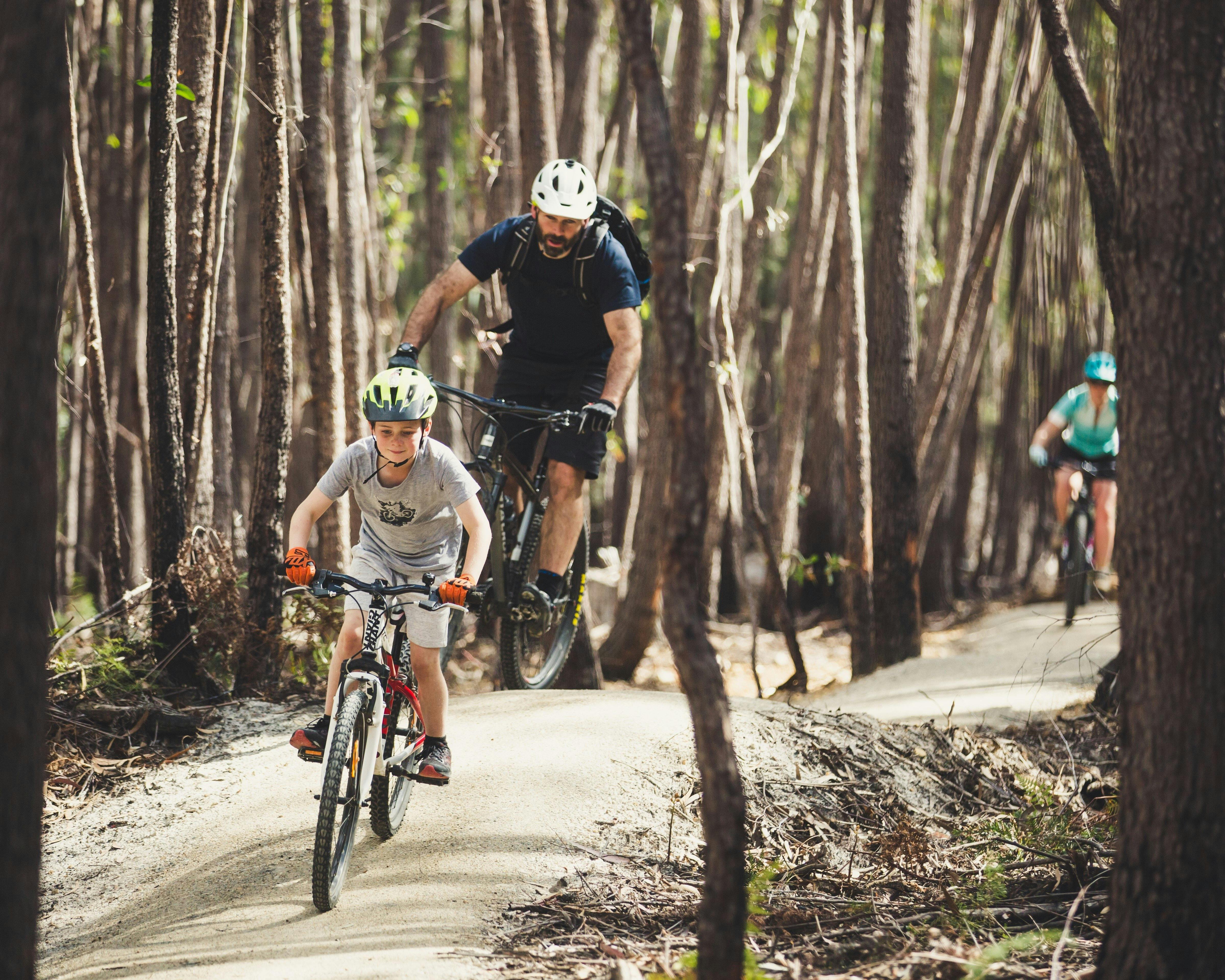 St Helens MTB Trails, St Helens, Flagstaff, Tasmania