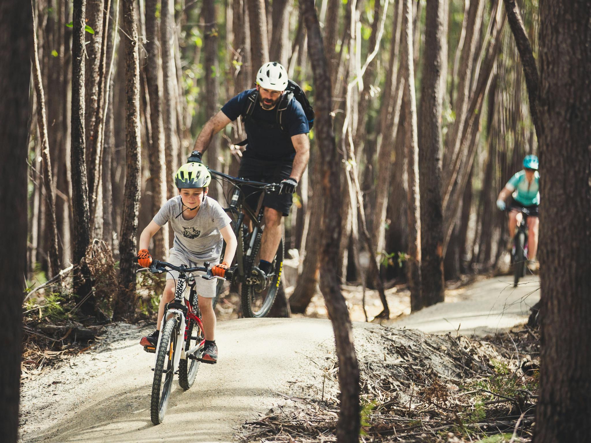 St Helens MTB Trails, St Helens, Flagstaff, Tasmania