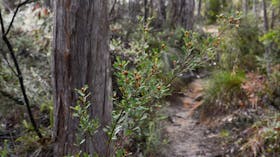 Cleland National Park