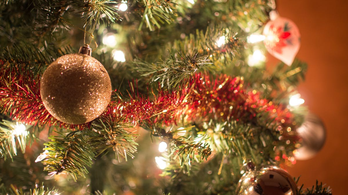 Enjoy a traditional Christmas Dinner at Granite Belt Brewery