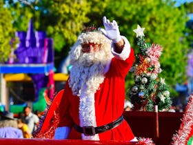 Barmera Christmas Pageant and Firework Display Cover Image