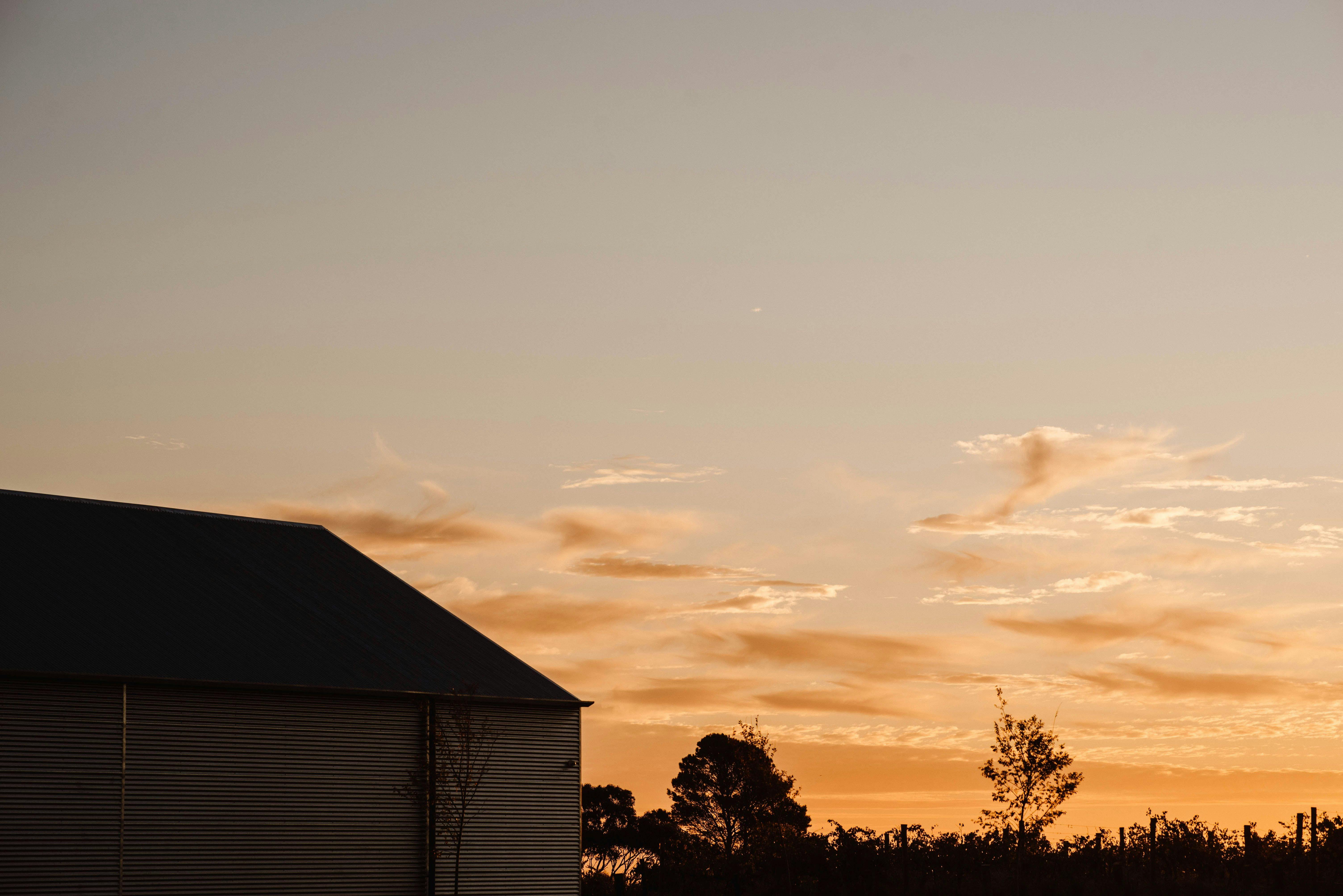 Golden sunset at Chalk Hill