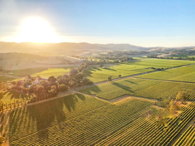 Taste of Flight 4 Minute Scenic Flight