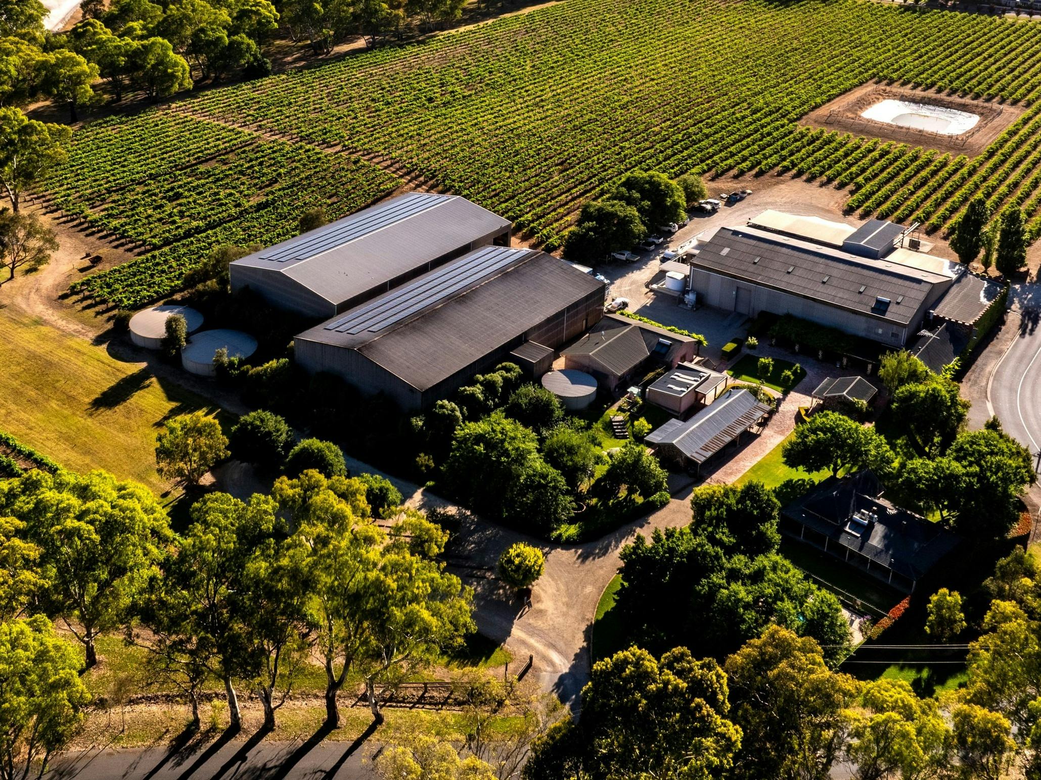 The oldest Shiraz vineyard in the world, just a short stroll from the Cellar Door.